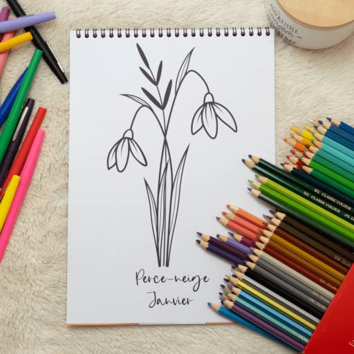 ColorFall Editions - Venta al por mayor Libro para colorear y cuaderno de actividades - Adultos - Libro de colorear de flores de nacimiento para adultos1