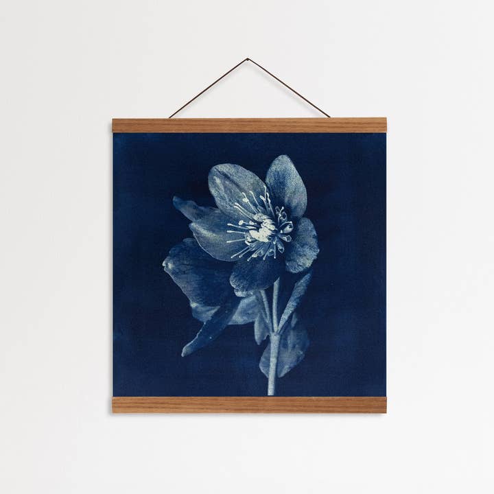 Wild Folklore by Alyson Brown - Wholesale Art Print - Hellebore I - Fine Art Flower Print1