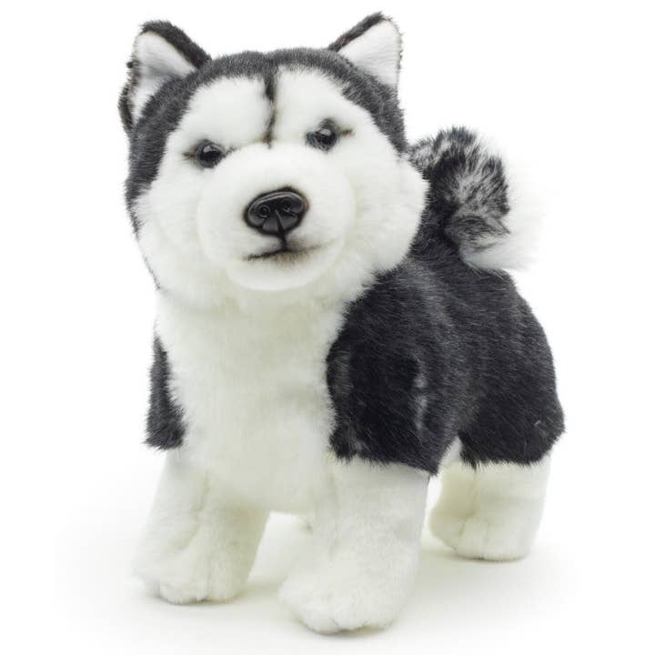 Uni Toys - Wholesale Stuffed/plush toy – Kids & baby - Husky puppy, standing (black) - cuddly/plush toy