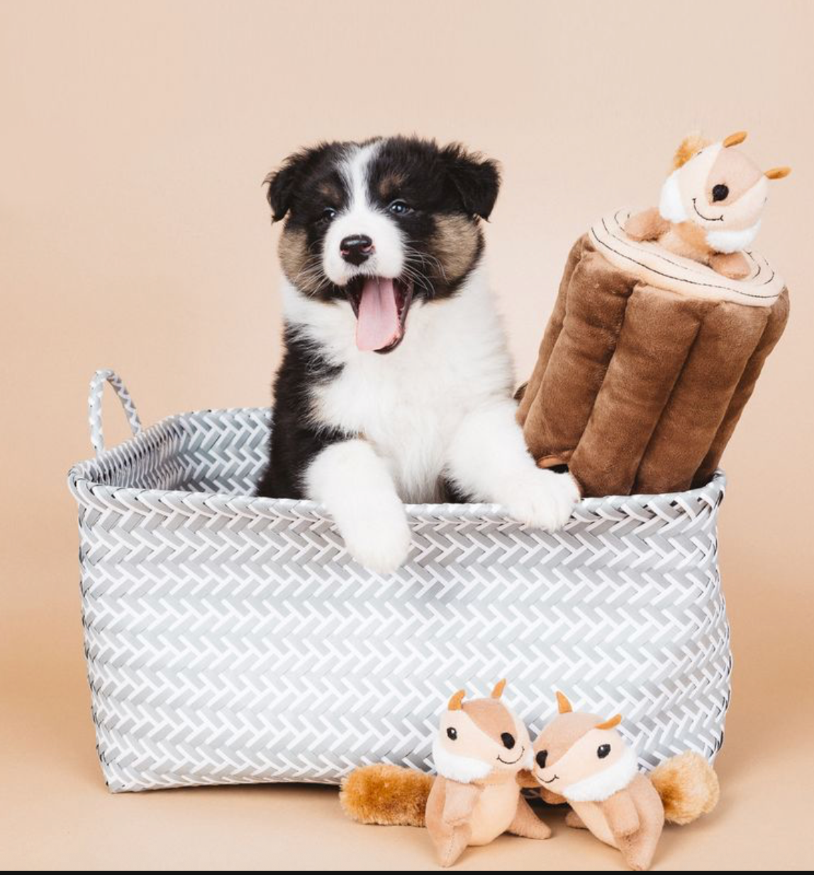 ZippyPaws - Vente Peluche – chien - Zippy Burrow - Jouet pour chien « bûche » avec 3 tamias couinants8