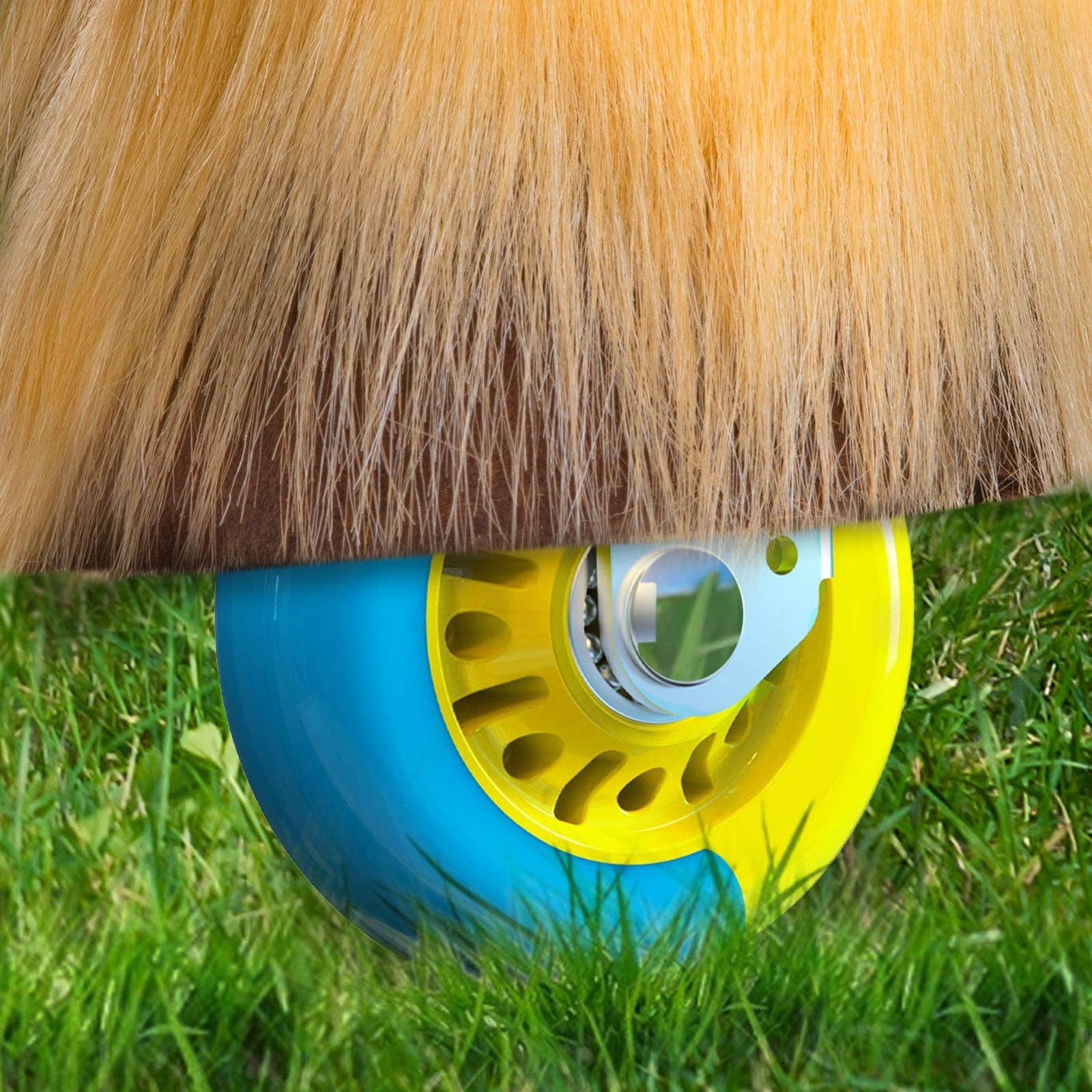 PonyCycle GmbH - Wholesale Rocking Horse - Kids - Model X Ride-on Horse Toy - Brown Horse6