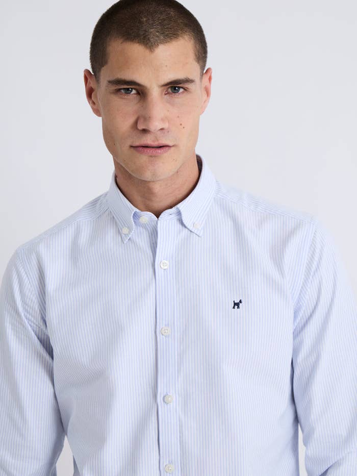 Camicia a righe Oxford per la vendita all'ingrosso da parte di williot