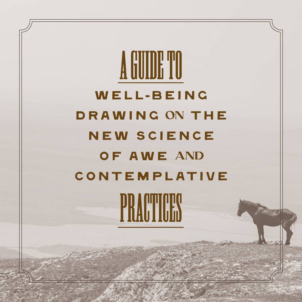 Chronicle Books - Wholesale Nature & Outdoors - Wild Horse Effect8