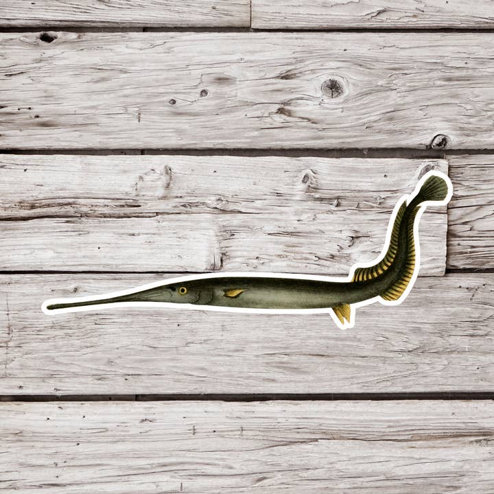 NatureCuts - Wholesale Sticker - Freshwater Gar Sticker, Fish Sticker, Fishing Sticker0