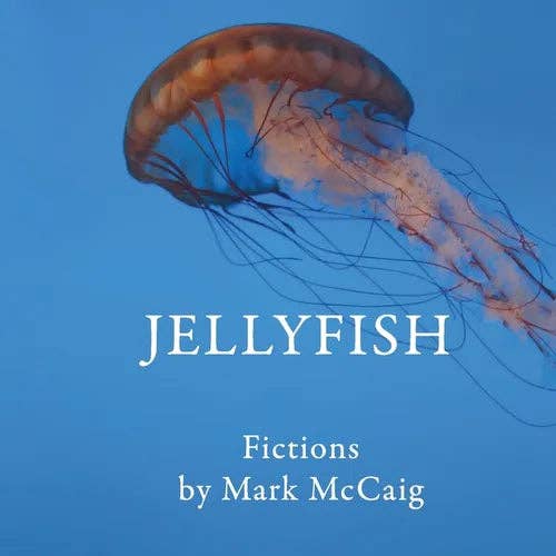 Books by splitShops - Wholesale Book - Adult - Jellyfish: Fictions - Paperback