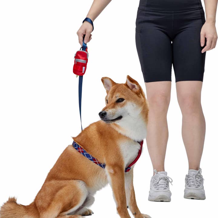 Blueberry Pet - Wholesale Novelty Candle - 1pc Dog Waste Bag Dispenser - Includes 1 Roll of Free Poop 4