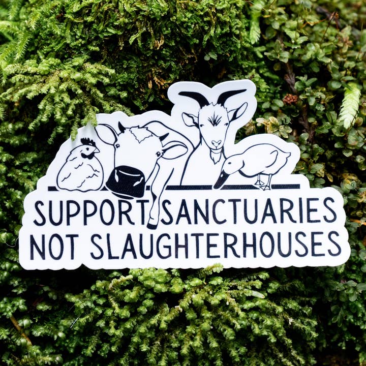 Support Sanctuaries Not Slaughterhouses | Vegan Sticker for wholesale by Mindful over Mind Full