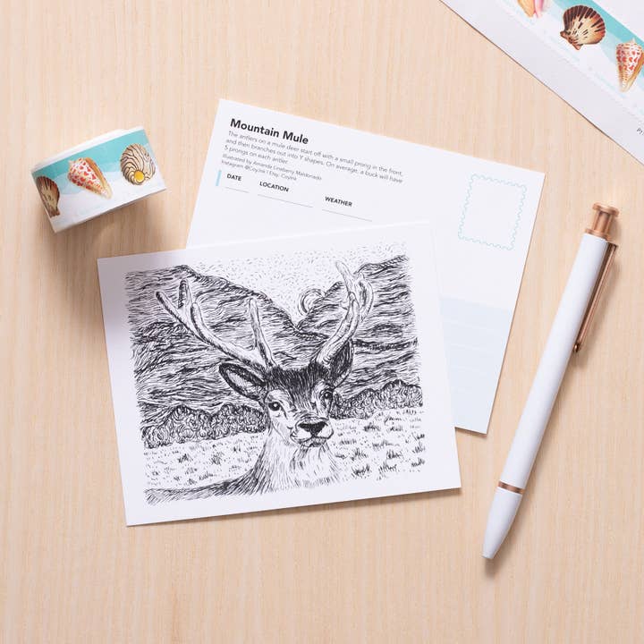 Mule Deer Art for wholesale by Coy Ink Studio