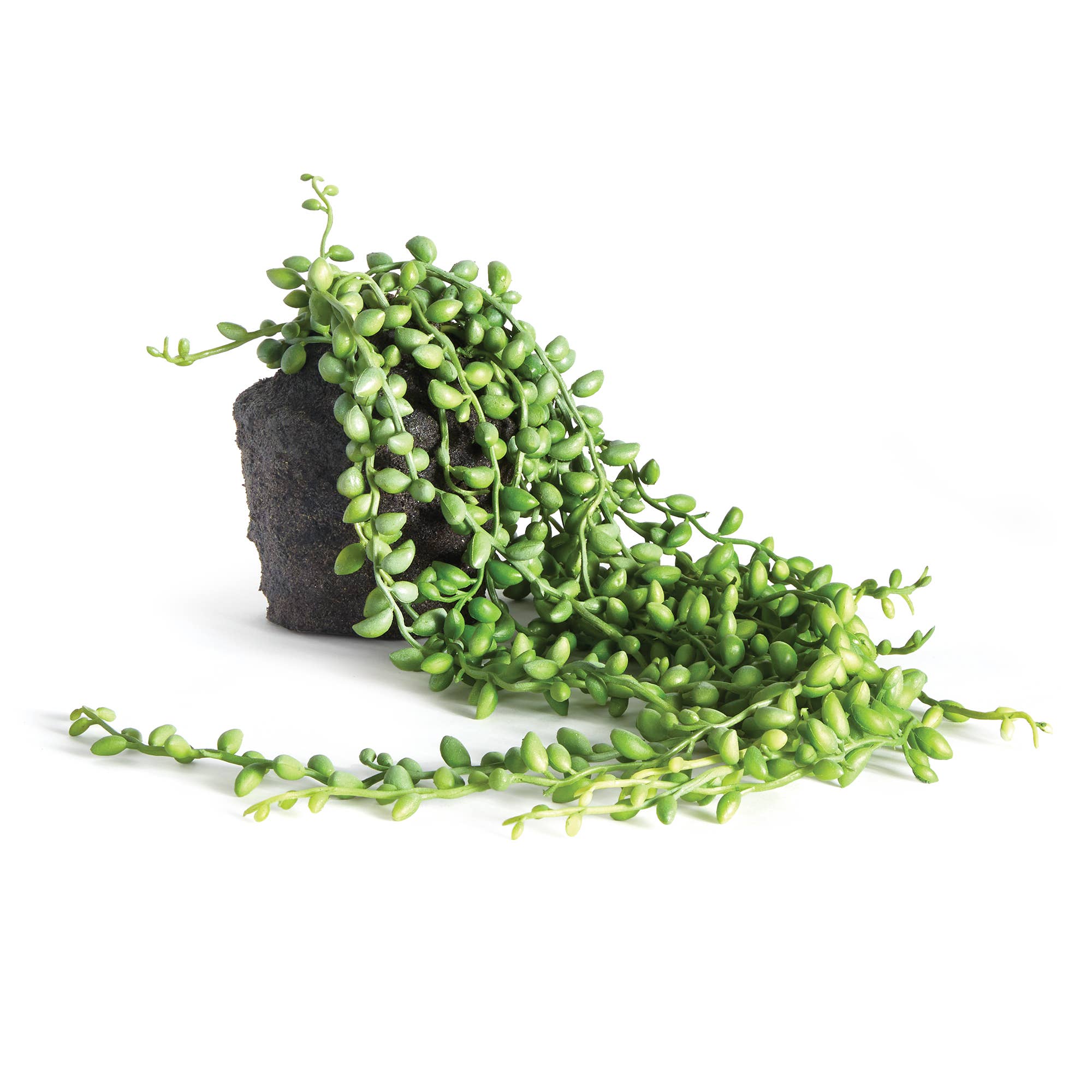 Napa Home & Garden - Wholesale Artificial Plant - String Of Pearls Drop-In 26"0