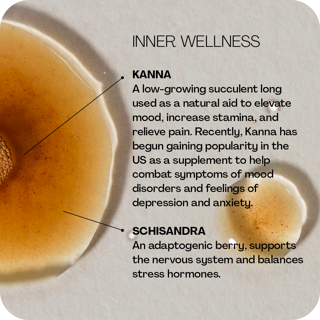 Good Psyche - Wholesale Face & Body Mist/Water - Inner | Outer Bundle3