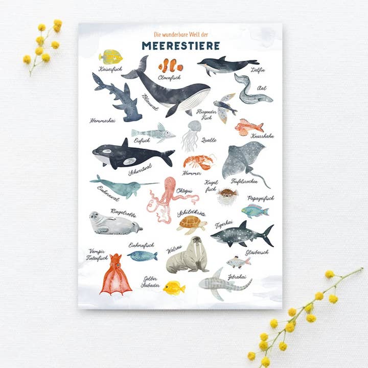 Carte postale « The Wonderful World of Marine Animals » pour la vente par OHØJ Papeterie