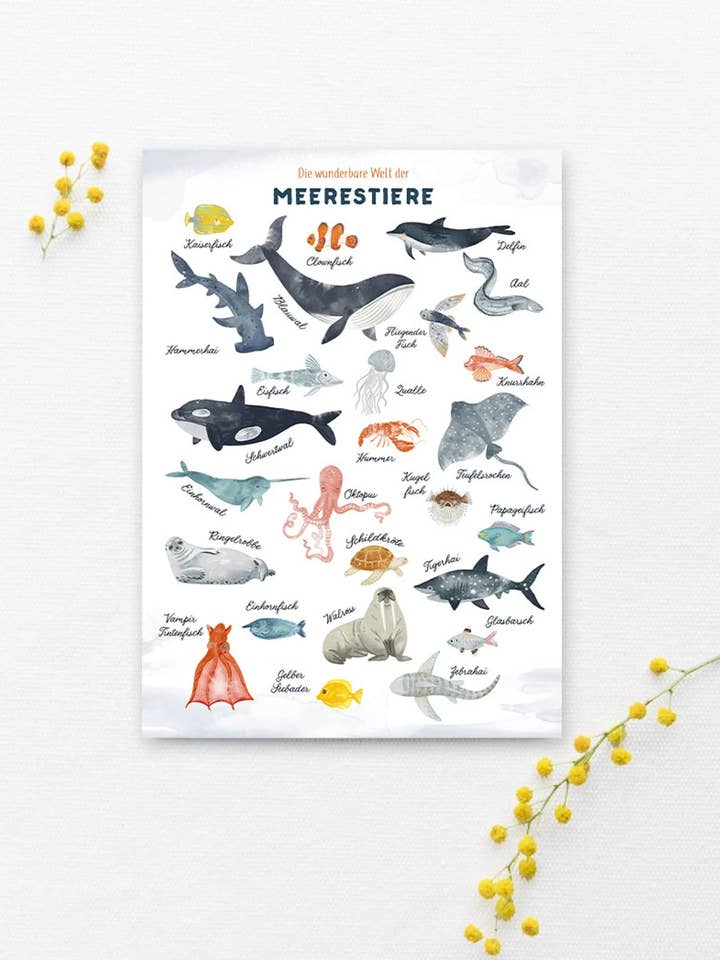 Cartolina «The Wonderful World of Marine Animals» per la vendita all'ingrosso da parte di OHØJ Papeterie