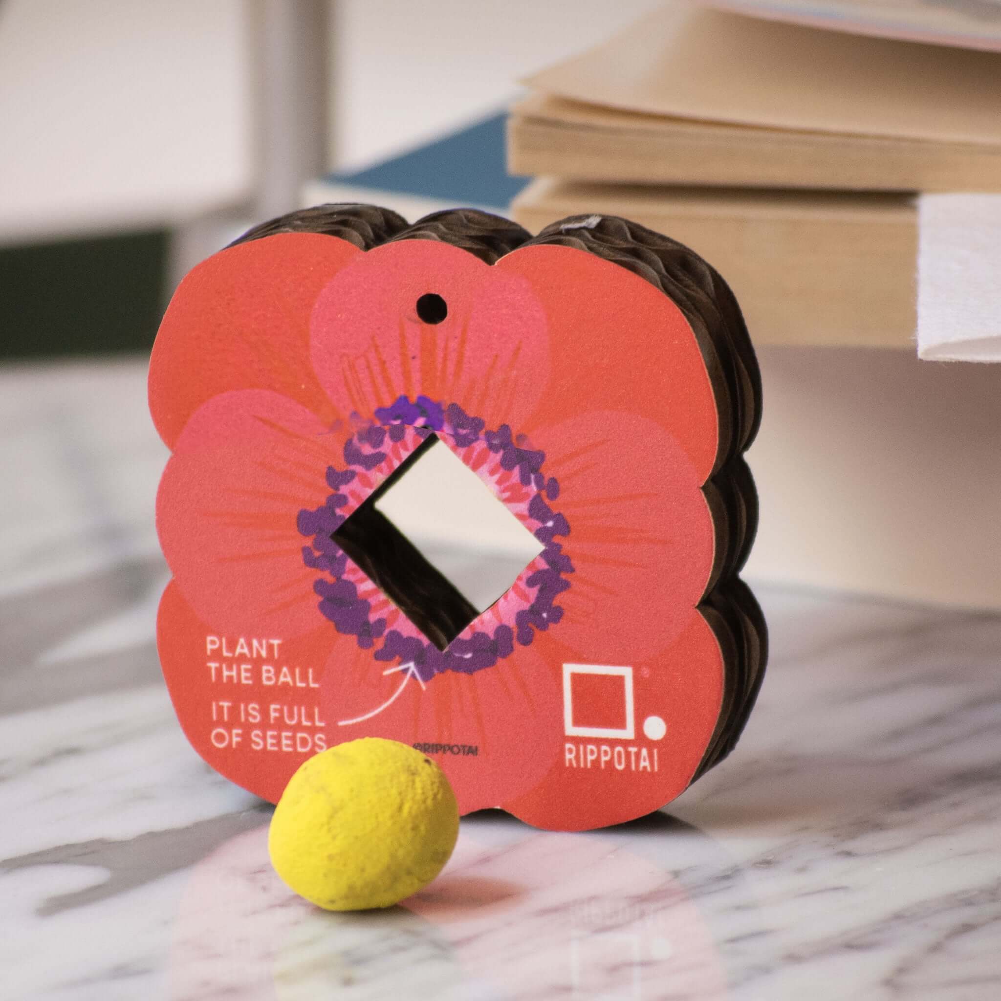 Rippotai – wholesale Plant seeds – The bouquet of flowers to sow! Eco-friendly and sustainable gift idea2