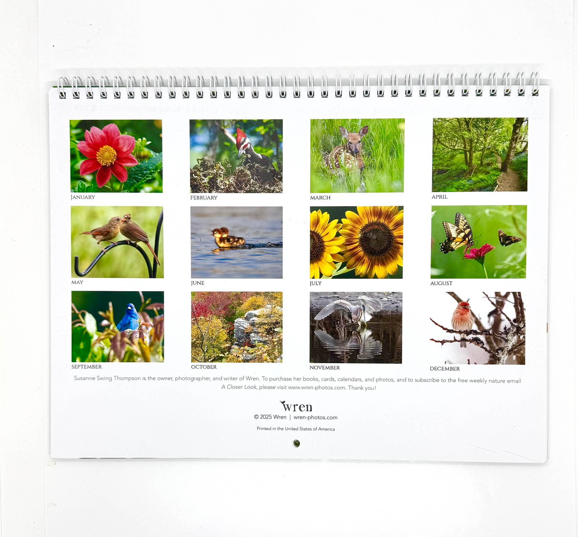 Wren - Wholesale Calendar - 2026 Calendar, A Closer Look1