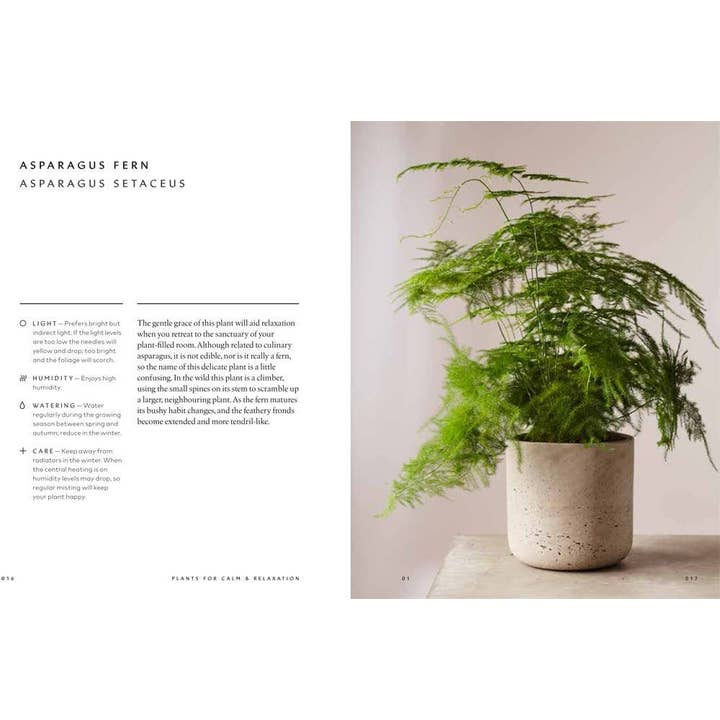 Hachette Book Group - Wholesale Home & Garden - The Healing Power of Plants By Fran Bailey3