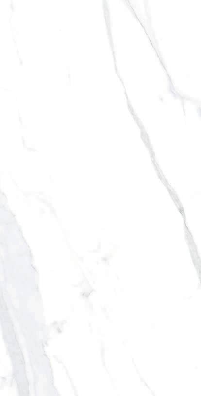 Thomas Avenue Ceramics - Wholesale Wall Tile - 12"x24" Porcelain Calacatta Cool Floor and Wall Tile2