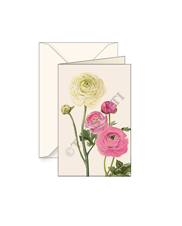 Freund Mayer & Co. – wholesale Anteckningsbok – Presentförpackningskort med kuvert 3x4"-Multi mönster6