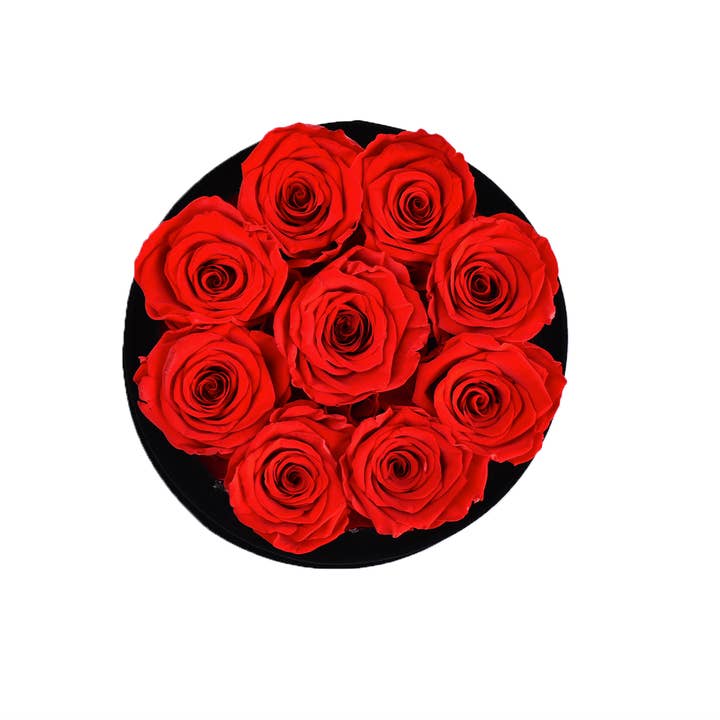 Rose Forever - Wholesale Dried/Pressed Flowers - 9 Red Roses Velvet Eternity Roses Box