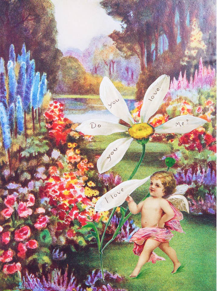 Daisy Eco-Friendly Valentine's Day Card for wholesale by Diana Wilson Arcana