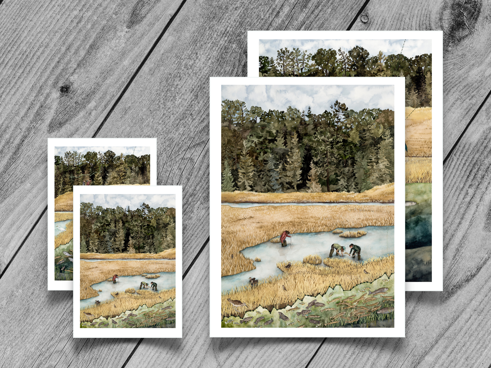 Jill Pelto Art - Wholesale Art Print - Coastal Marsh New England Art Print Set0