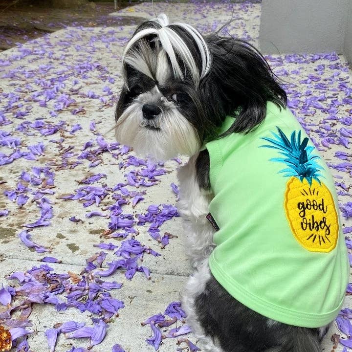 Parisian Pet® - Wholesale Pet Shirt - Dog - Pineapple Dog T-Shirt – Perfect Shirt for Hot Days4