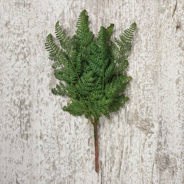Primitives by Kathy - Wholesale Artificial Flowers - Dark Lacy Fern Floral Pick