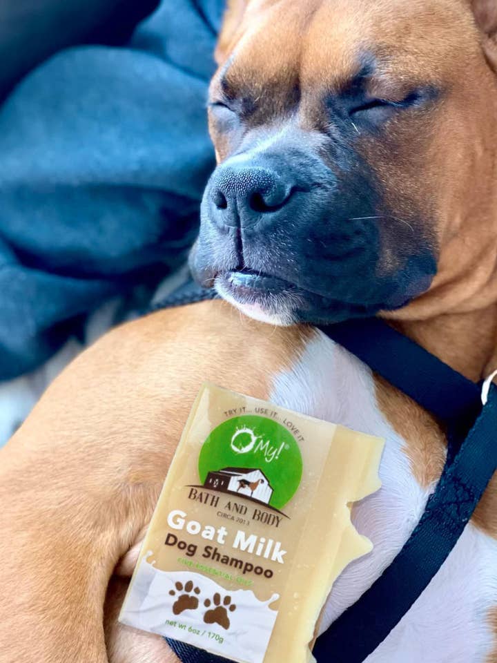 ¡Oh, mayo! Champú para perros Goat Milk | Hecho a mano con leche cruda de cabra para venta al por mayor de O My! Bath and Body