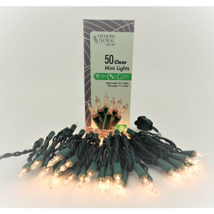 Set di 50 Mini Luci Trasparenti con Filo Verde per la vendita all'ingrosso da parte di Tremont Floral Supplies