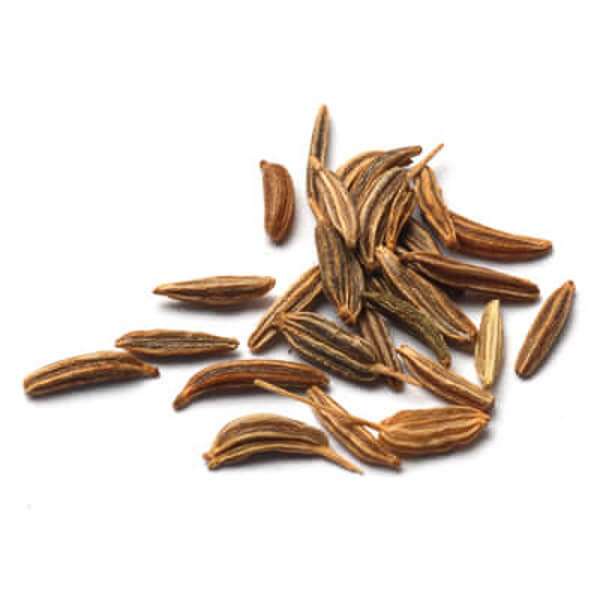 Eclipse Organics – wholesale Herbs – Organic Caraway Seeds0