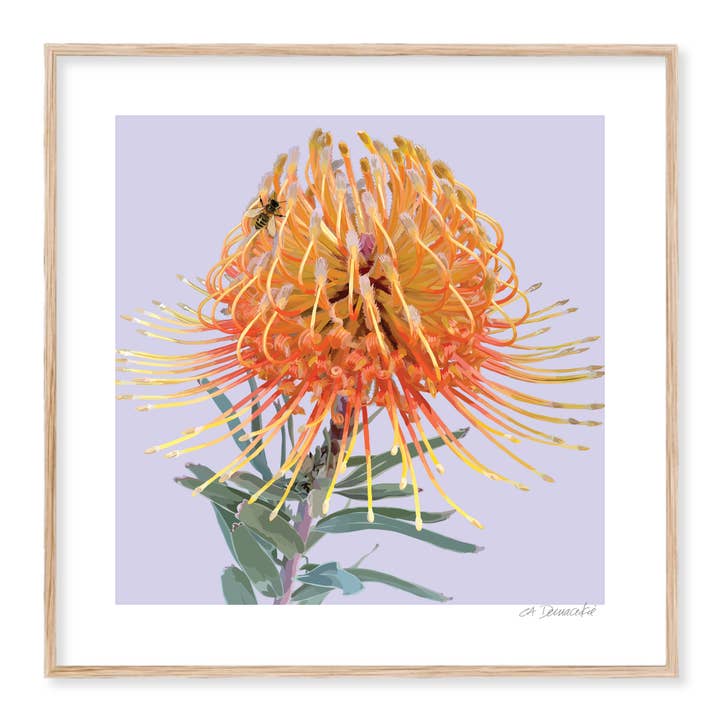 Impresión de Arte Floral | Giclée de Protea y Abeja de Miel para venta al por mayor de The Red Barn Press