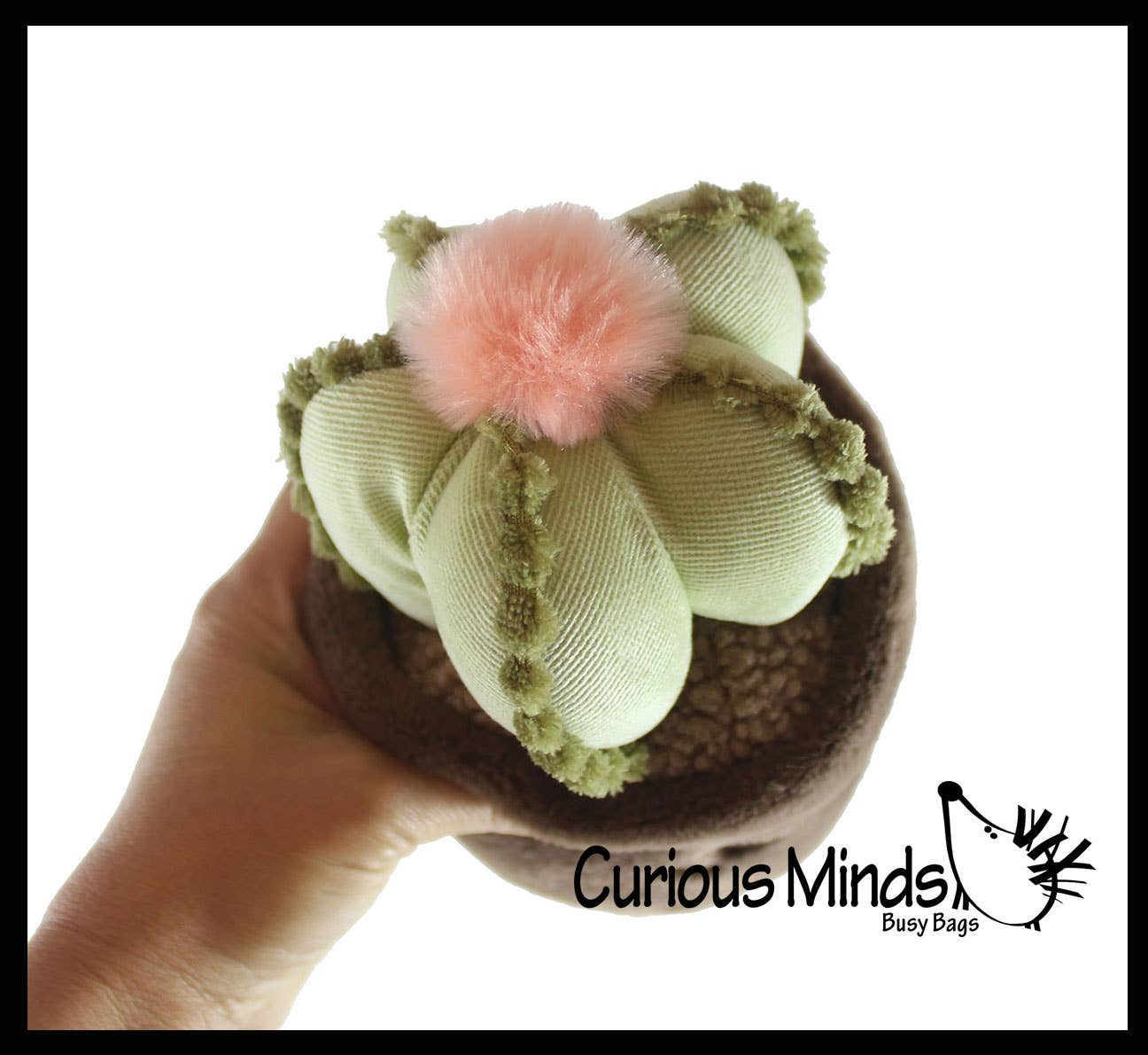 Curious Minds Toys - Wholesale Stuffed/Plush Toy - Kids & Baby - 1 Plush Plant - Potted Succulent Cactus - Cute Artificial6