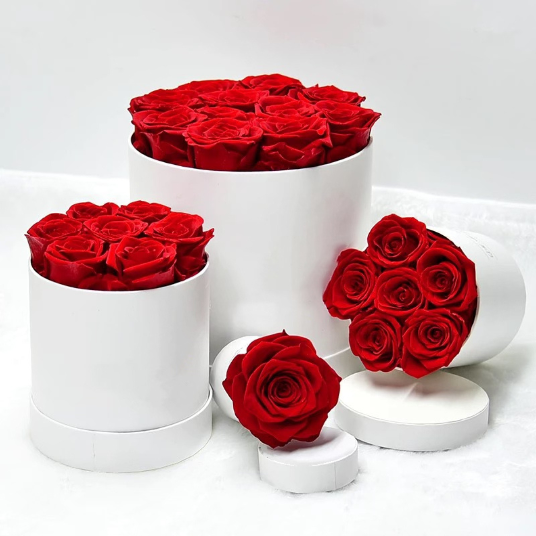 verona home and gift - Wholesale Dried/Pressed Flowers - 24 Real Preserved Roses that Last Forever In Round Box 2
