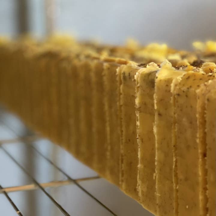 Standing Spruce - Wholesale Bar Soap - Hallow’s Eve Soap2