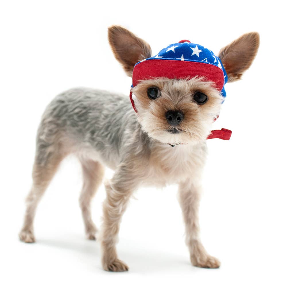 Dogo Pet - Wholesale Pet Hat - Dog - Star Hat1