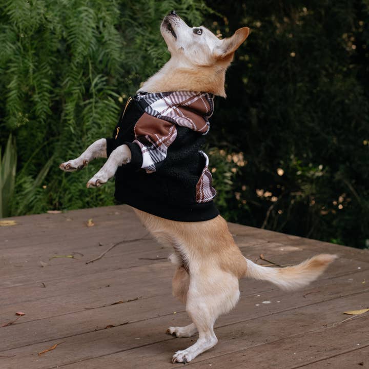 Frenchie - Wholesale Pet Hoodie - Dog - Frenchie Dog Hoodie - Cocoa Plaid5