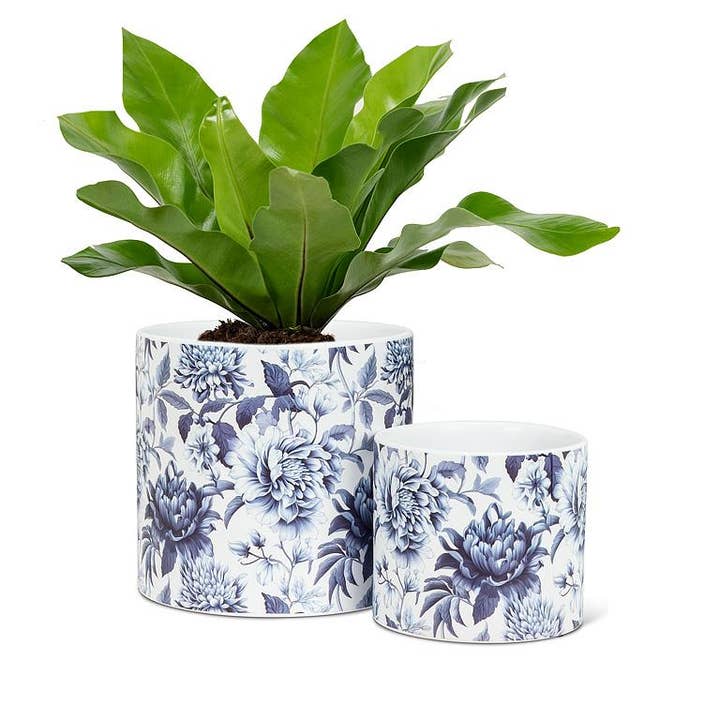 Abbott - Wholesale Plant Pot - Small Chintz Print Planter-4.5"D1