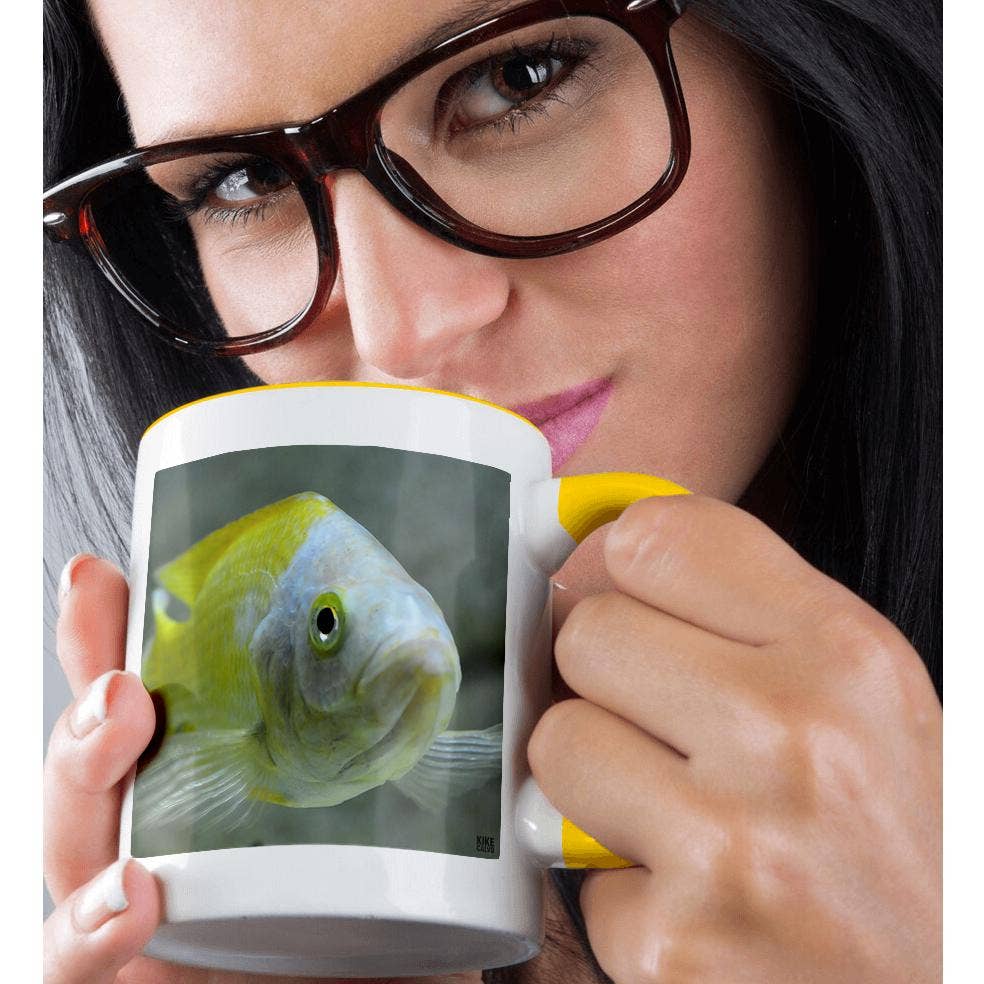 3dRose - Wholesale Coffee Mug - 3dRose, Picturing fish in the biggest river aquarium in Europe, Mug1
