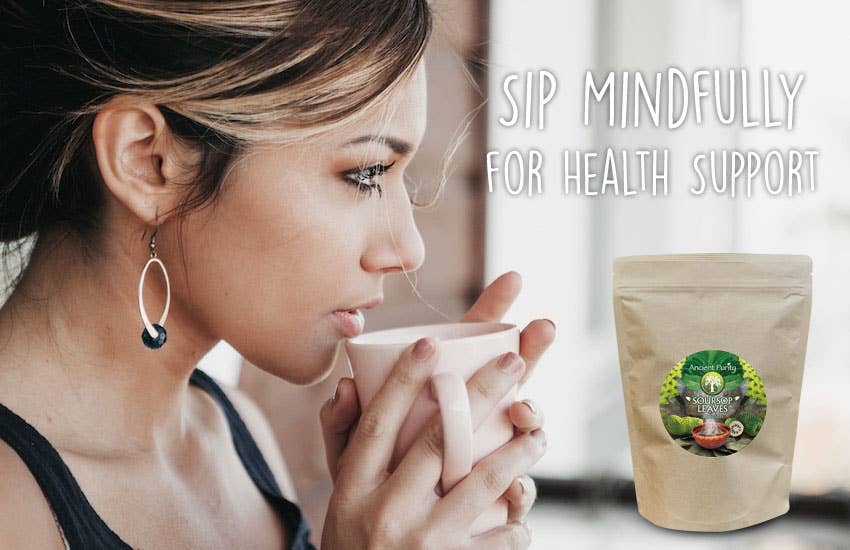 Ancient Purity - Vente Thé en vrac - Feuilles de corossol - 20g | Entières non écrasées | Cultivées en Thaïlande8