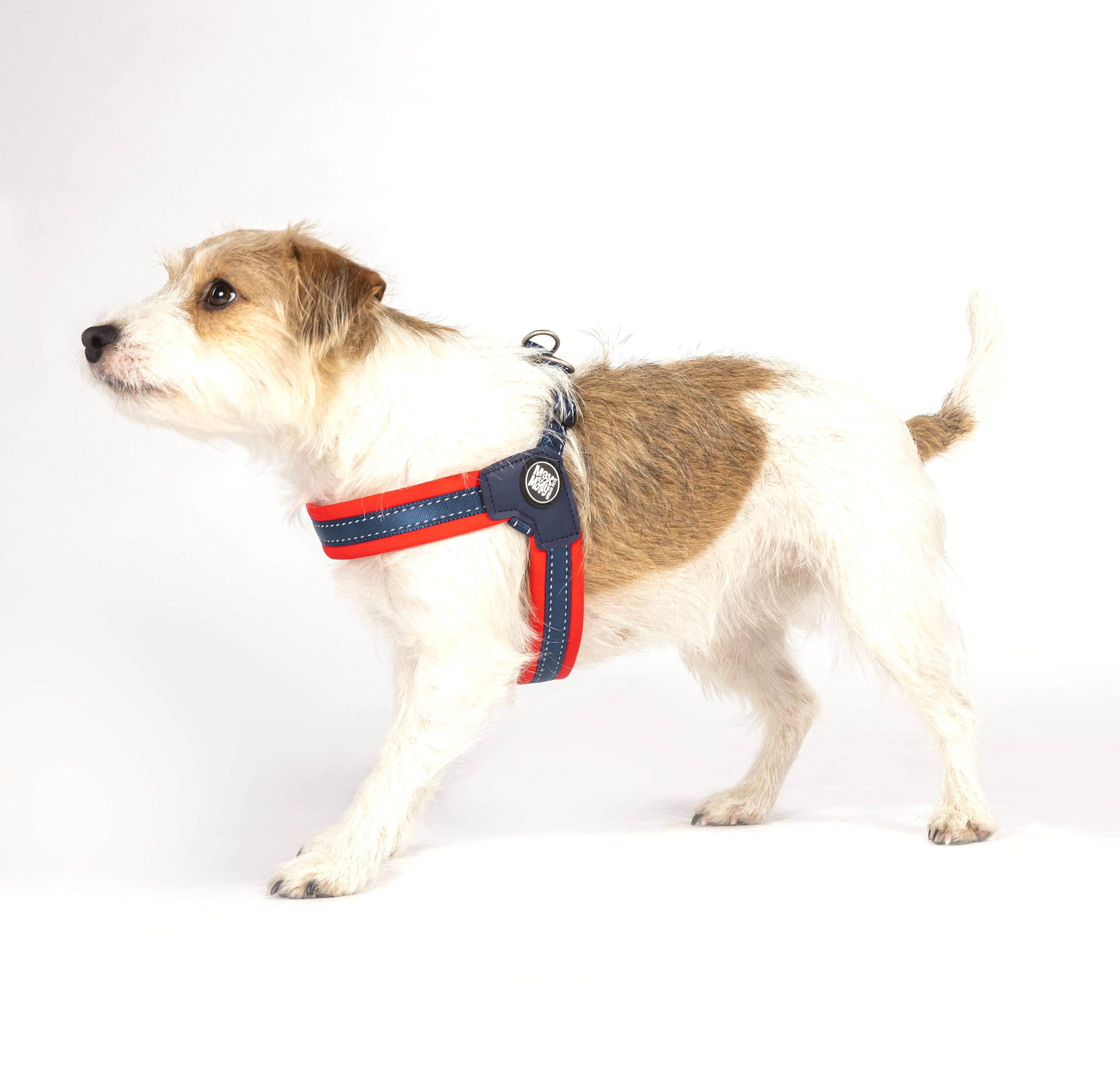 Max & Molly - Wholesale Pet Harness - Dog - Q-Fit Dog Harness Red5