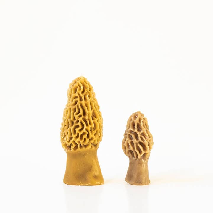 Happy Organics - Wholesale Novelty Candle - Beeswax Morel Mushroom Candle 2-pack