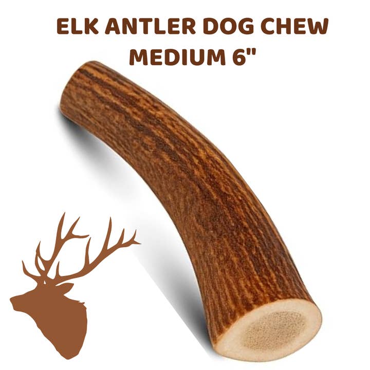 WhiteTail Naturals - Wholesale Pet Chew Toy - Dog - Medium - Whole Elk Antler Chew - Single Unbranded - (A)Grade