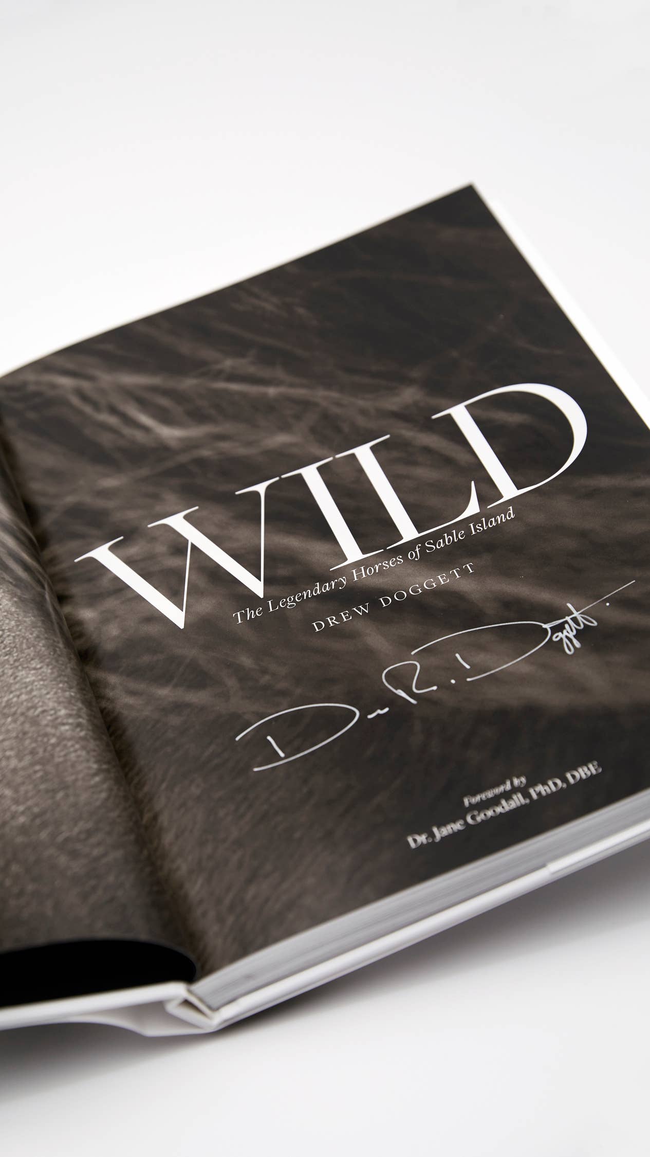 Drew Doggett Photography - Vendita all'ingrosso Display Book - Wild: I leggendari cavalli di Sable Island8