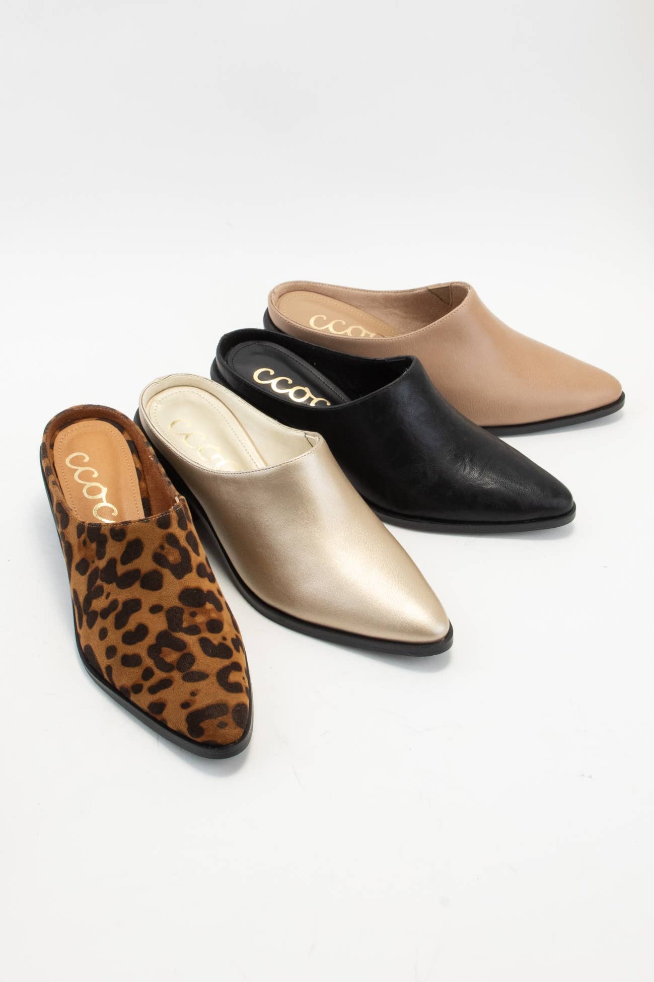 CCOCCI - Wholesale Mules - Women's - CCOCCI MINI PACK | GINA POINTED-TOE BLOCK HEEL MULE11