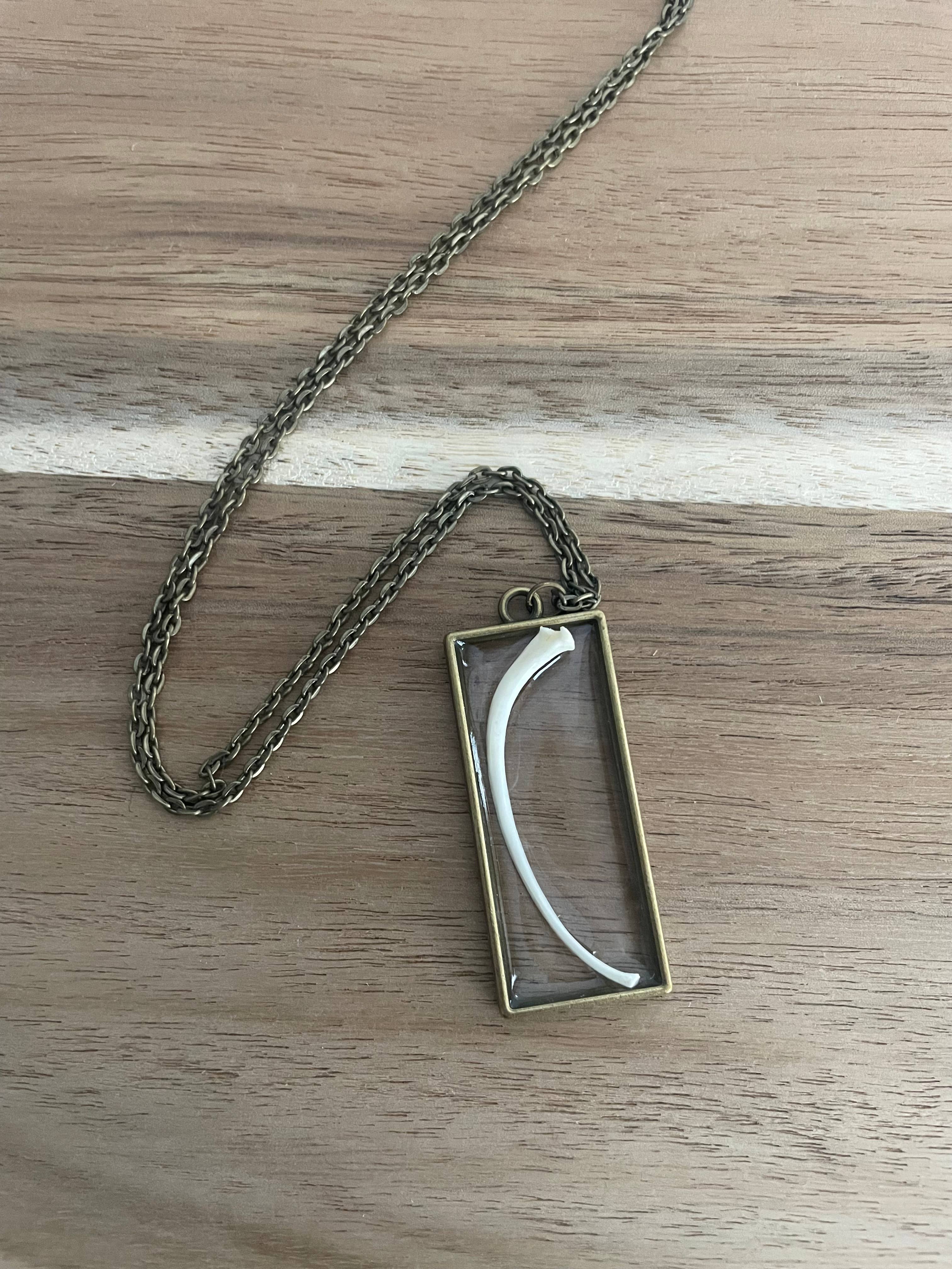 The Wolfshop – wholesale Pendant/charm necklace – Oddity Necklace - Ball Python Rib Bone2