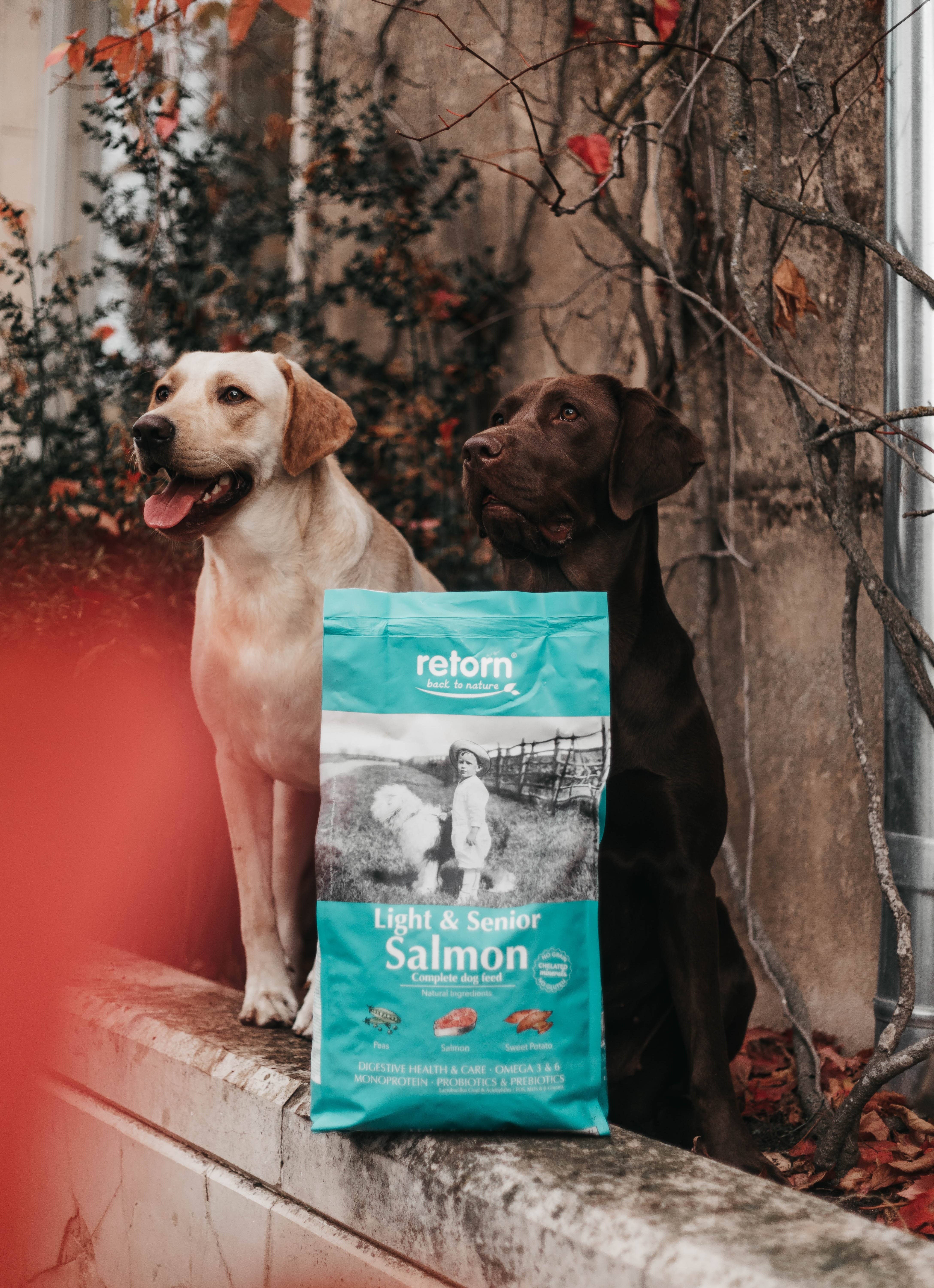POCURULL SL (Retorn) - Vendita all'ingrosso Cibo - Cani - Light&Senior Natural Crocchette al Salmone per Cani2