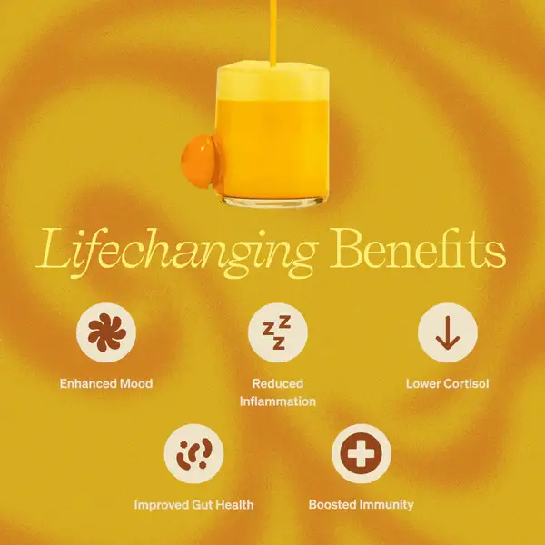 Clevr Blends - Wholesale Powdered Health Drink - Golden SuperLatte (14 or 30 Servings) | Instant Turmeric Latte with Adaptogens, Mushrooms and Probiotics3