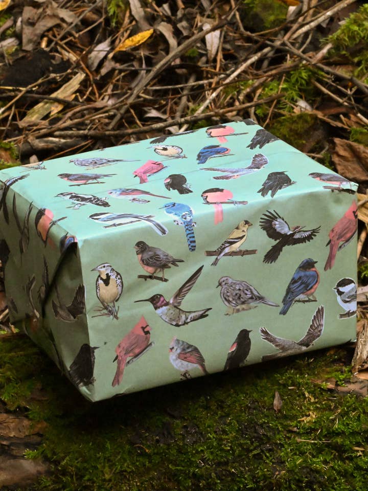 Midwest Birds Gift Wrap | Hand-Drawn | The Wrap for wholesale by Little Rocks Design