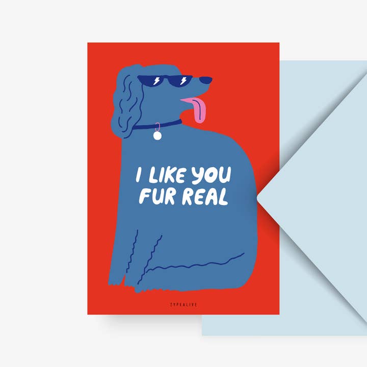 typealive - Wholesale Postcard - Postcard / Like Fur Real