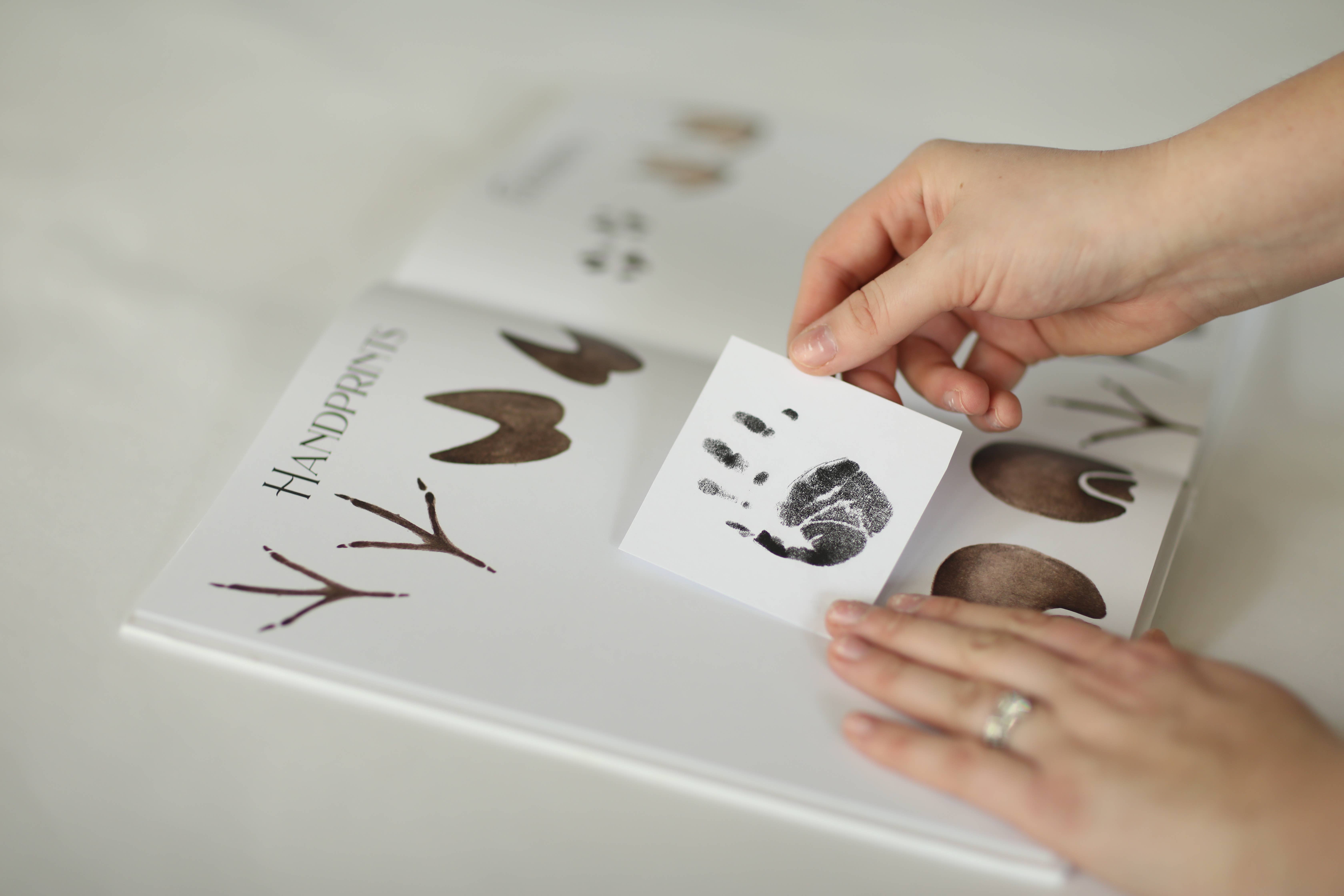 CMCARTILLUSTRATIONS – Großhandel Erinnerungsbuch – Kind & Baby – Baby-Erinnerungsbuch, Bauernhof-Erinnerungsbuch, Bauernhof-Babyalbum12