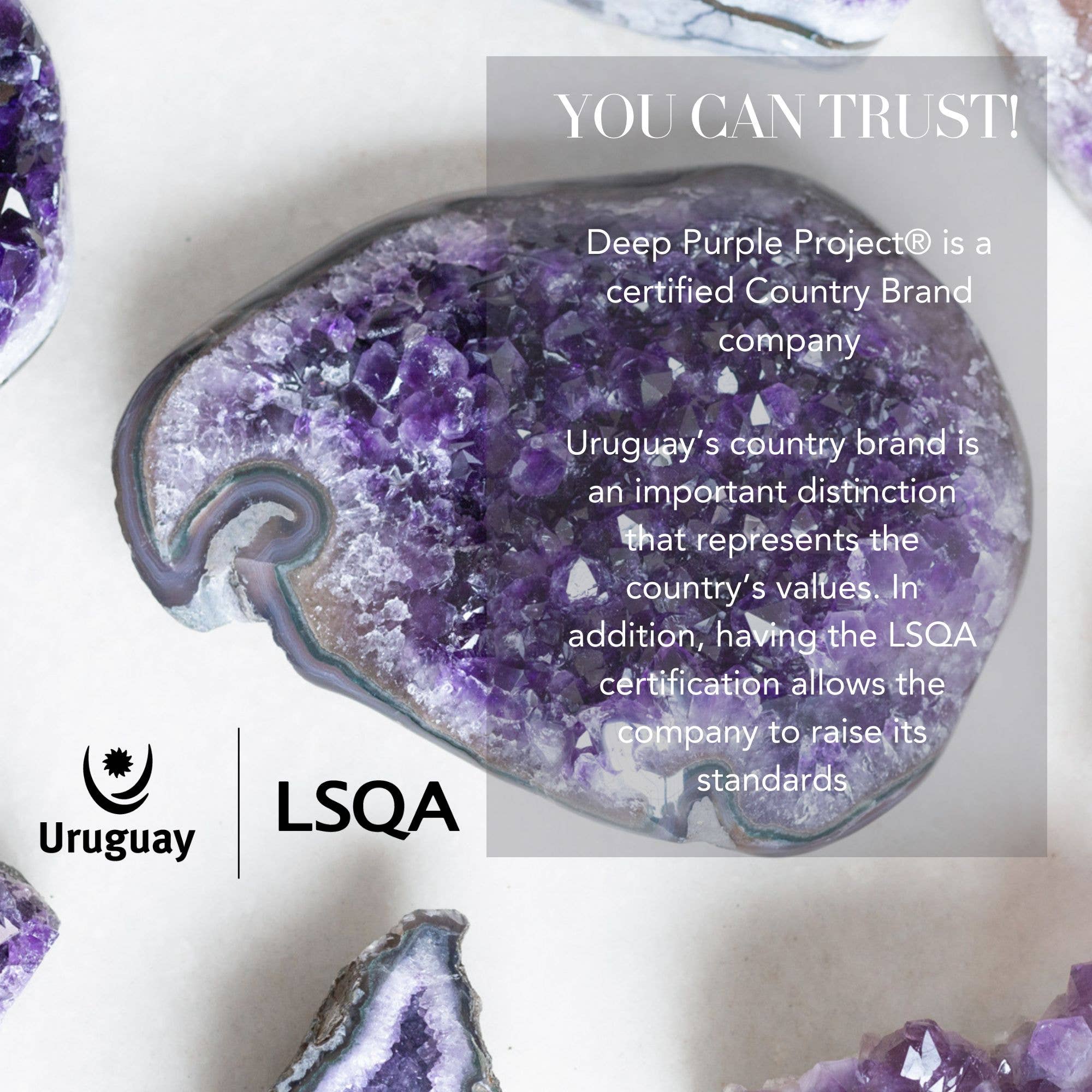 Deep Purple Project - Wholesale Ornament - Agate Geode Bookends, Large Natural Stone Pair5